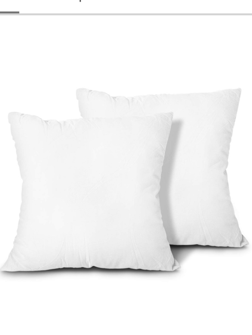 Pillow Inserts White SQUARE 12x12” (2-pack)